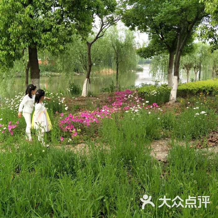 康桥生态园沔青绿地