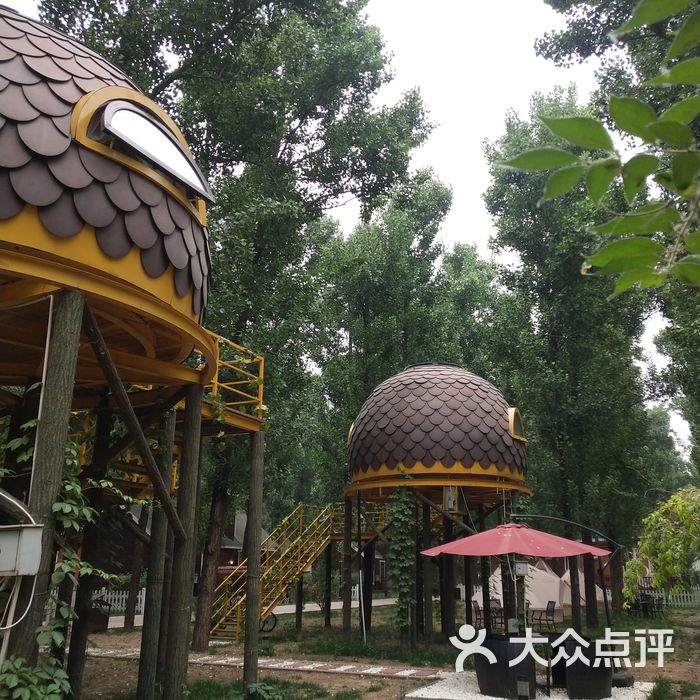 林栖谷森林温泉度假区