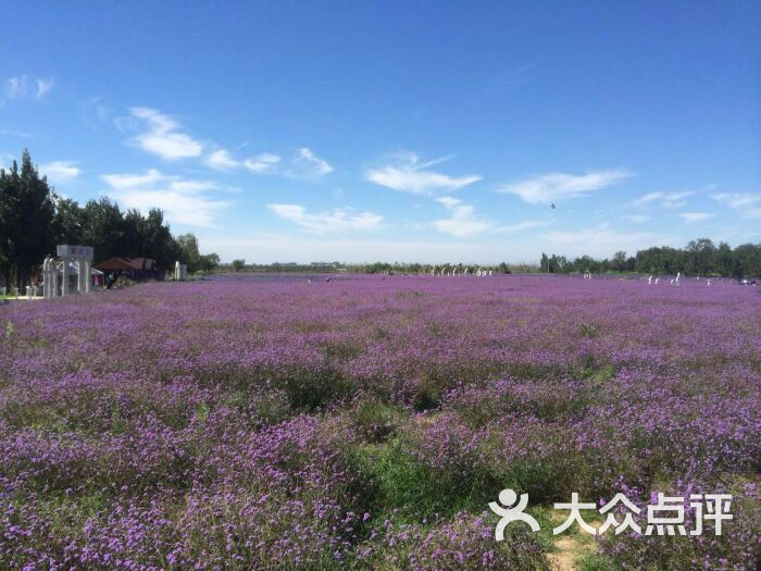 紫谷伊甸园