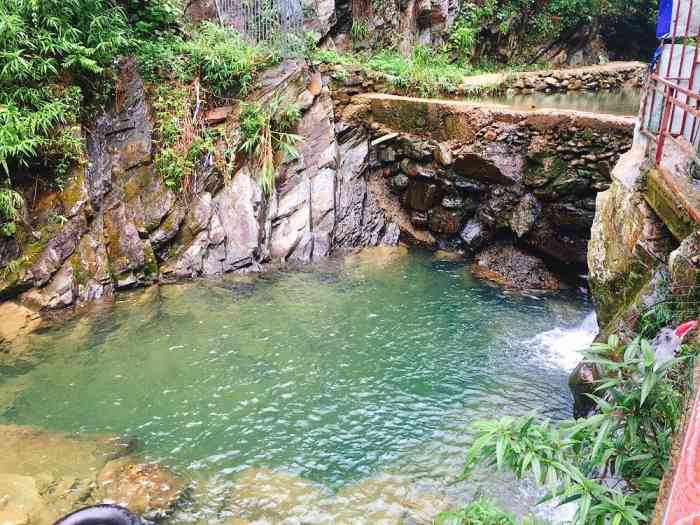 武鸣内朝生态铭园-"得力于大明山脚下的青山绿水,果然