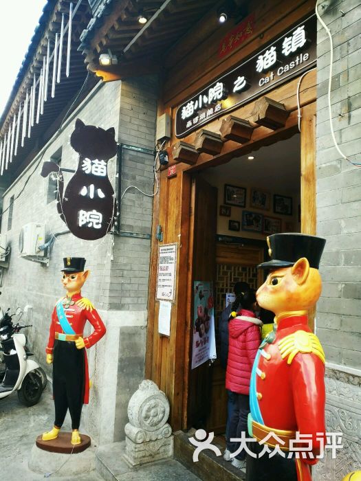 猫小院猫主题餐厅(南锣店)图片 第66张