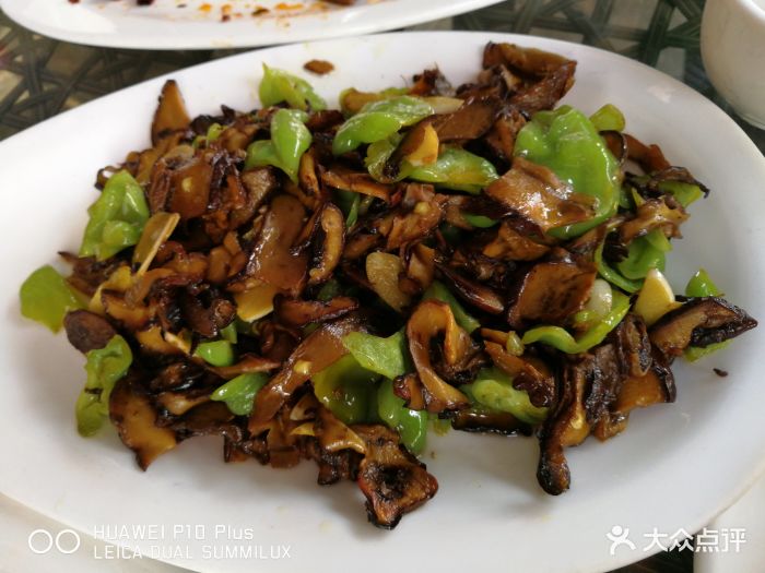 青椒牛肝菌