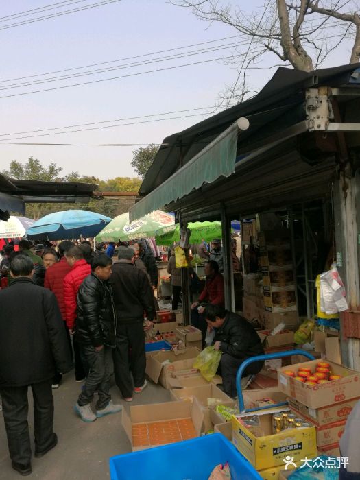 张庙花鸟市场-图片-上海购物-大众点评网