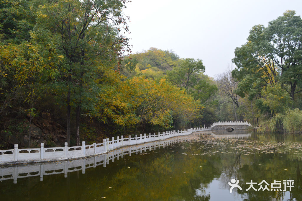 虎山风景区图片 第111张