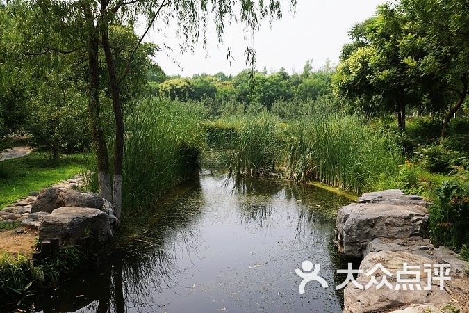 丹青圃公园