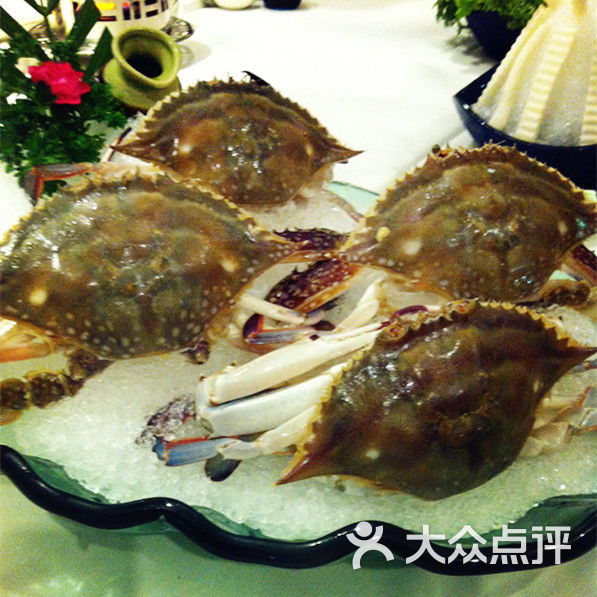 菲渔海鲜火锅梭子蟹图片 第1283张