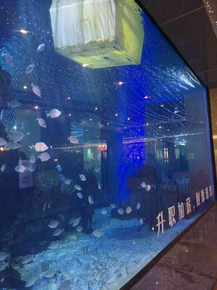 鎏嘉码头水族馆-"说实话,我先以为是一个收费的场所呢