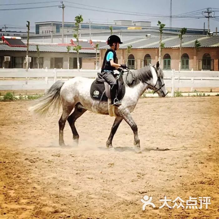 骑士鹏v5上传的图片