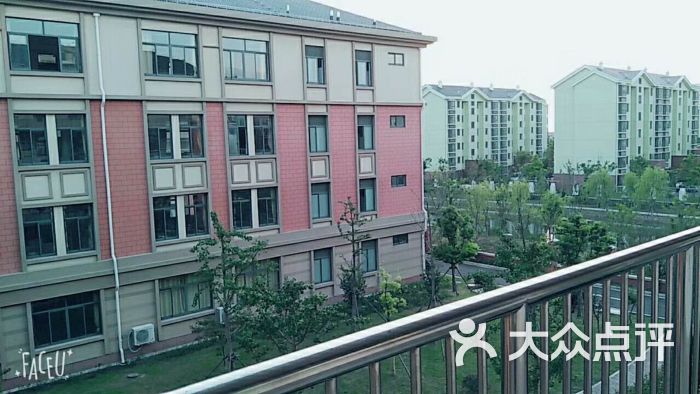 新裕安中学-图片-崇明区学习培训-大众点评网