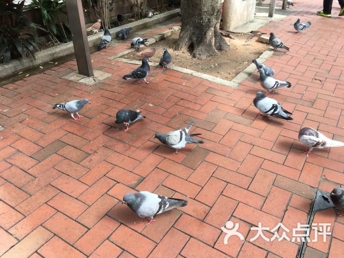 港铁天后站:2016年6月底去香港玩了5天,酒店.