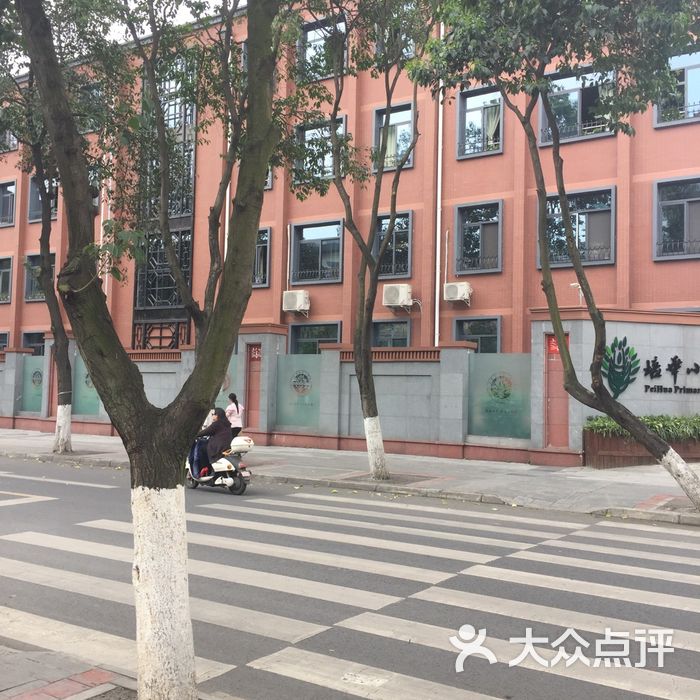 成都市培华小学图片-北京小学-大众点评网