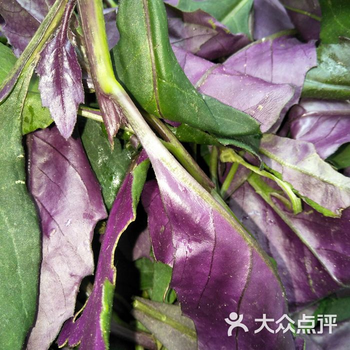 业华湘湘菜馆野菜雪米菜图片-北京湘菜-大众点评网
