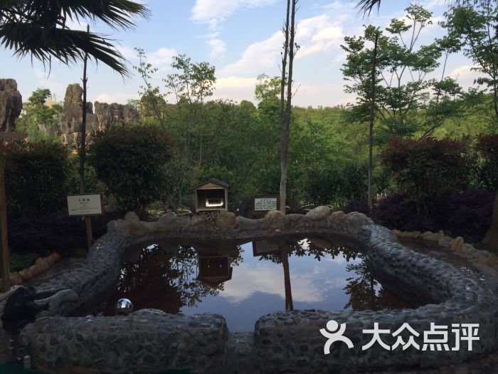 石林石海温泉图片 - 第8张