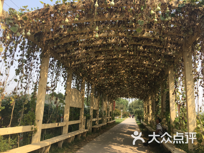 周家庄乡采摘园图片 - 第4张