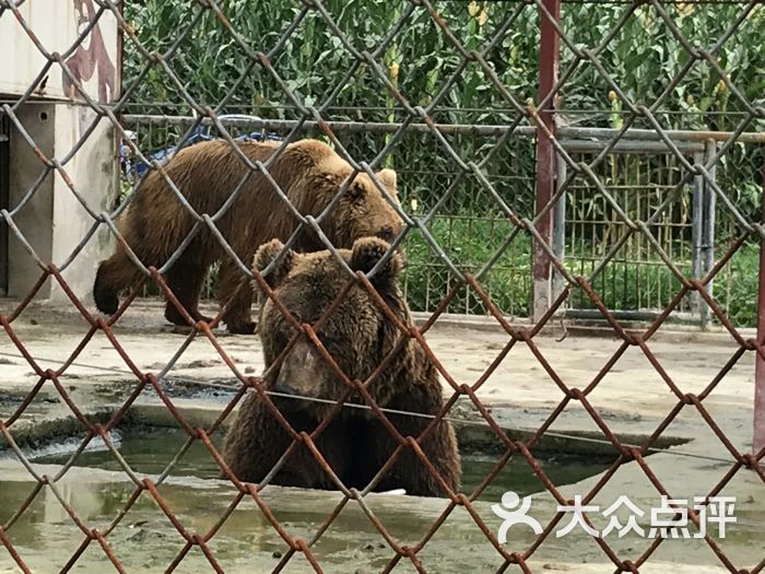 镇江开心动物园图片 - 第17张