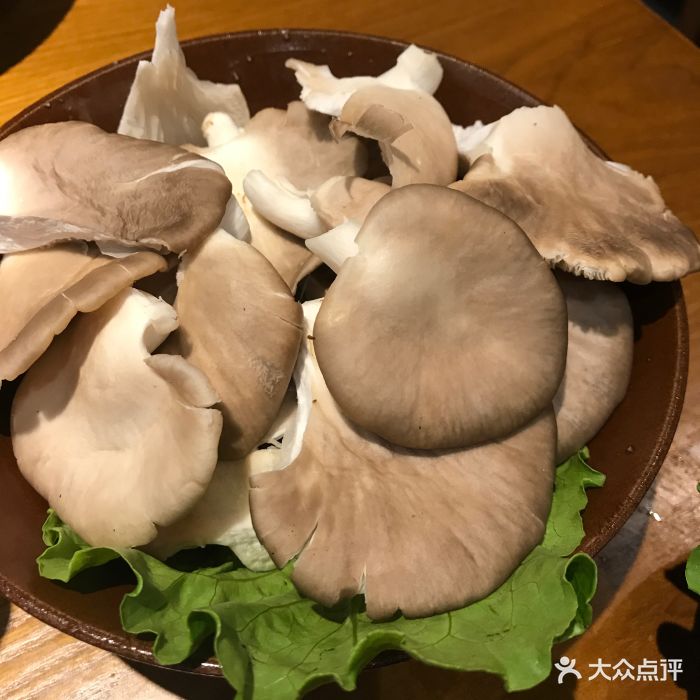 重庆高老九火锅(江汉路店)平菇图片 第1579张