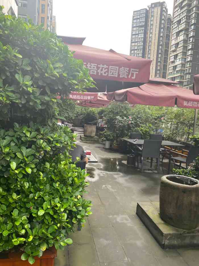 凤栖梧·花园餐厅-"老朋友的团年聚餐选在了这家餐厅,就在仁.