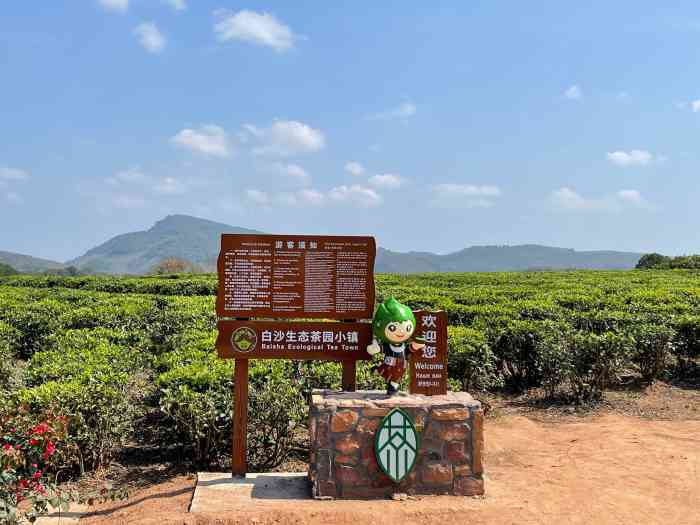 白沙原生态茶园小镇-"原生态茶园小镇,借用大家的一句