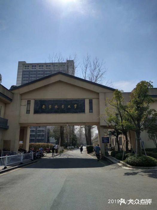 南京林业大学图片