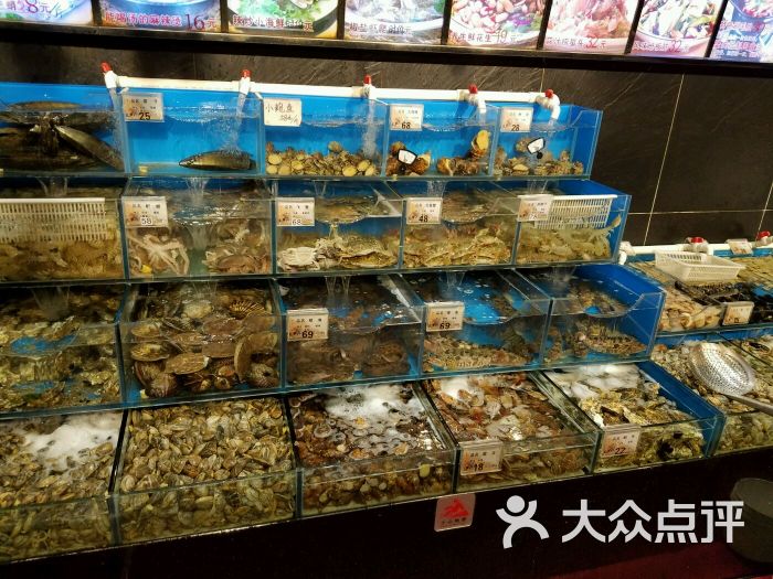 金太阳海鲜烧烤(东纬路旗舰店)活海鲜图片 - 第783张