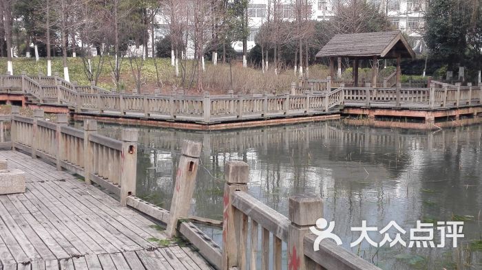 庙行公园商户图片图片 - 第3张