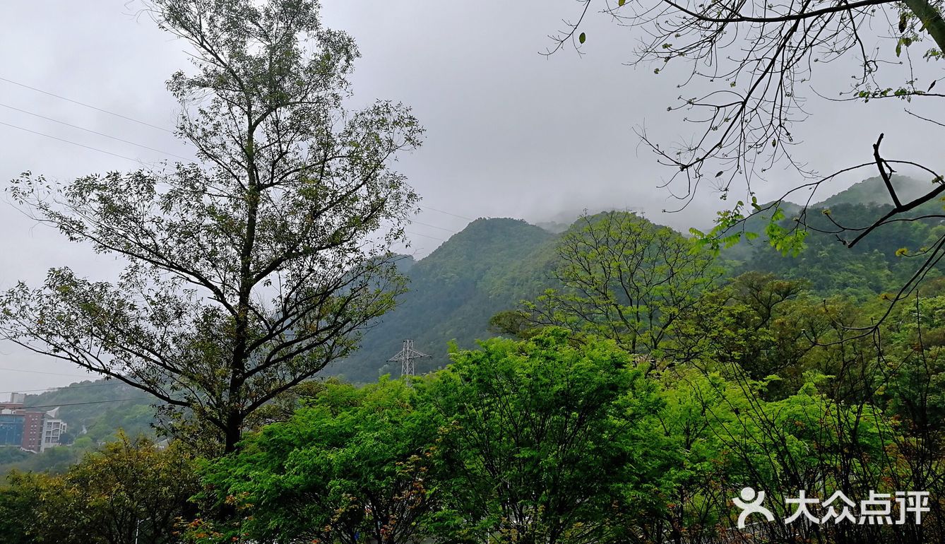 中梁山南延入重庆沙坪坝区后称为歌乐山