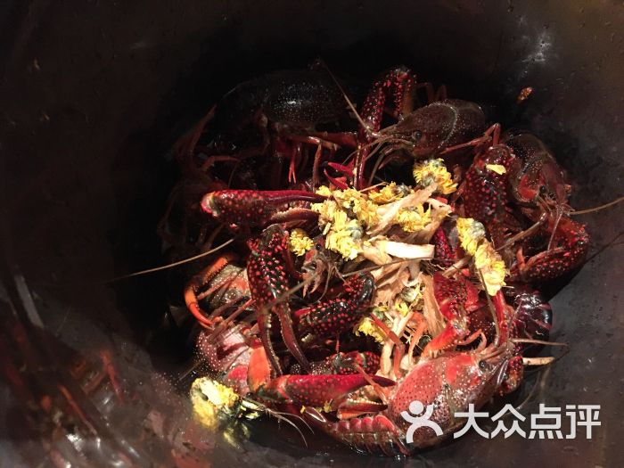虾火裸蒸小龙虾(西湖店)金湖虾魁图片 第322张