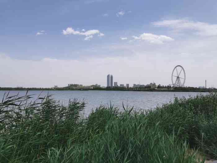 宁夏阅海国家湿地公园