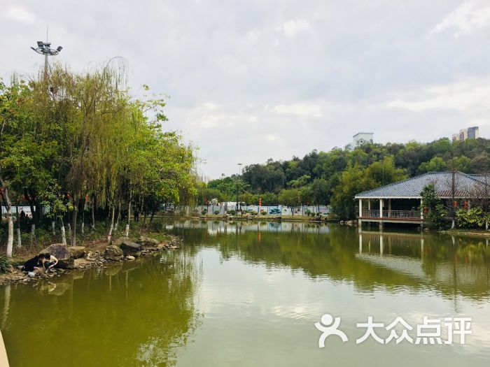 松岗公园-景点图片-深圳周边游-大众点评网