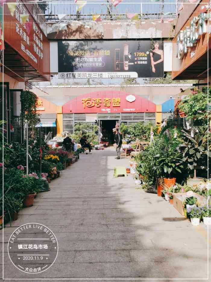 镇江花鸟市场-"从市区南行数里,有一胜区,这里群山,.