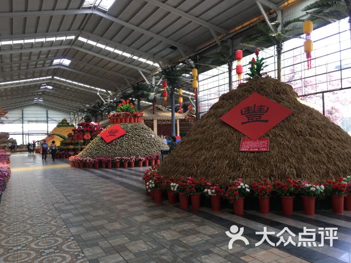 西双塘民俗风景区图片 - 第46张