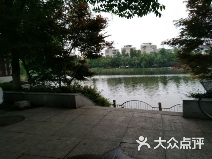 沙市市中山公园图片 - 第3张