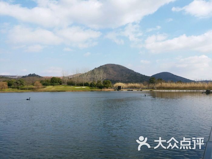 汤山紫清湖旅游区森林温泉-图片-南京周边游-大众点评网