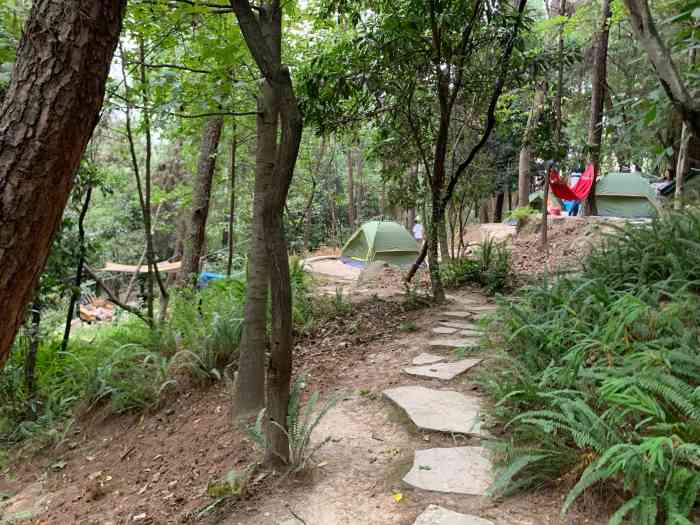 铁山坪草野星空露营基地-"这次来铁山坪森林公园主要.