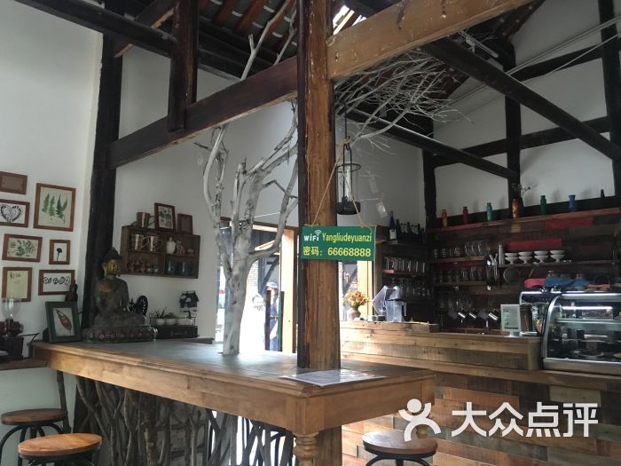 云上植物主题水吧-图片-大邑县美食