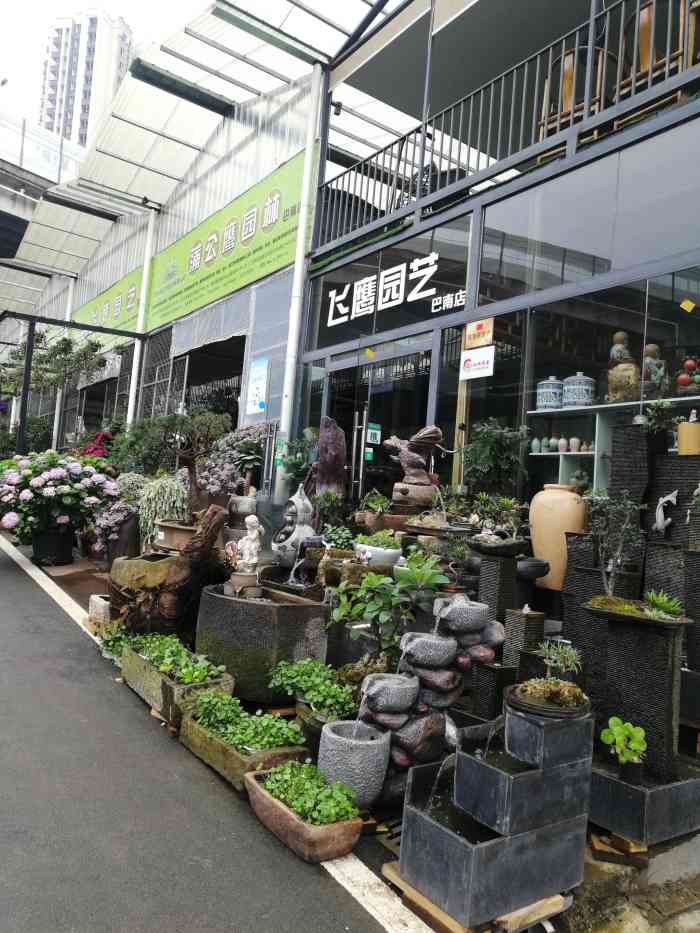 渝南花鸟综合市场(大山村)-"听说大山村有个花鸟市场,昨天早上顺便去