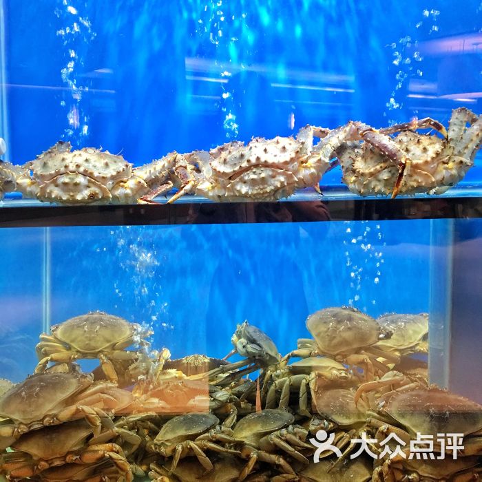 珍宝海鲜jumbo seafood(北京skp店)图片 第9张