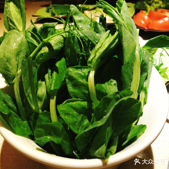 一叶一世界藏茶蔬食火锅(领事馆店)豌豆尖图片 - 第125张