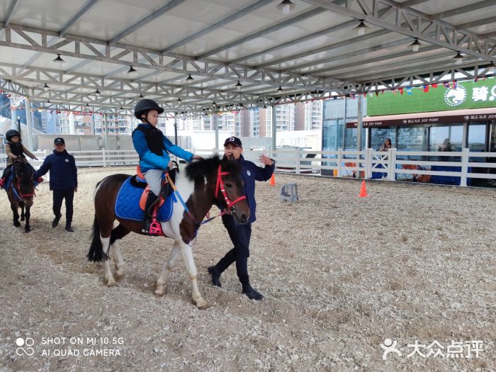 骑乐马术(佛山环球港中心)图片