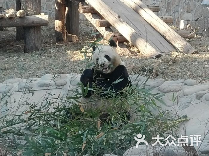 北京动物园图片 - 第1张