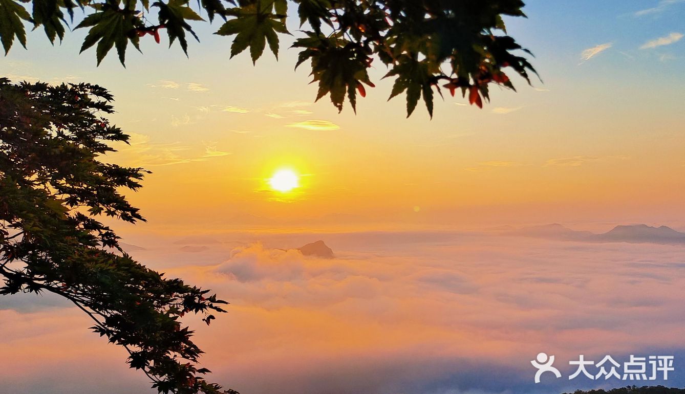 想念山上的风景