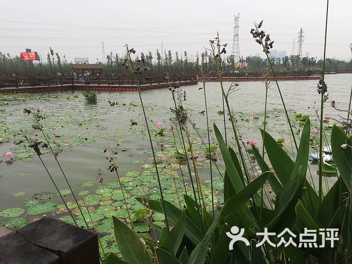 苏州大阳山植物园门票