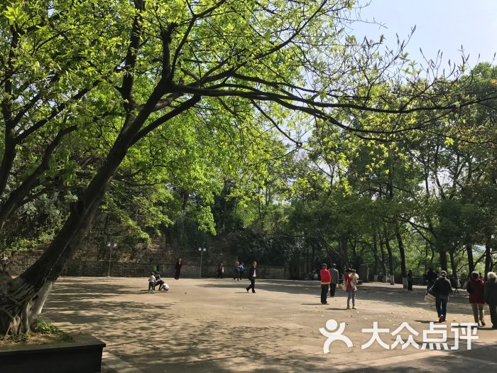 北碚公园图片 第35张