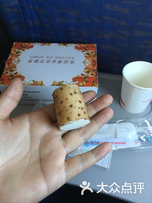 四川航空:成都双流机场,川航基本占了整个.成都