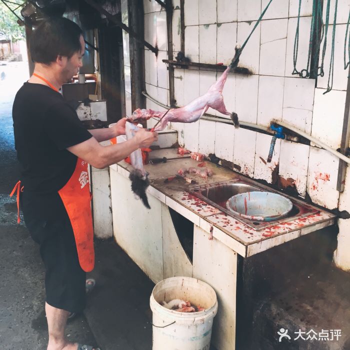 食神又名厕所兔图片 - 第451张