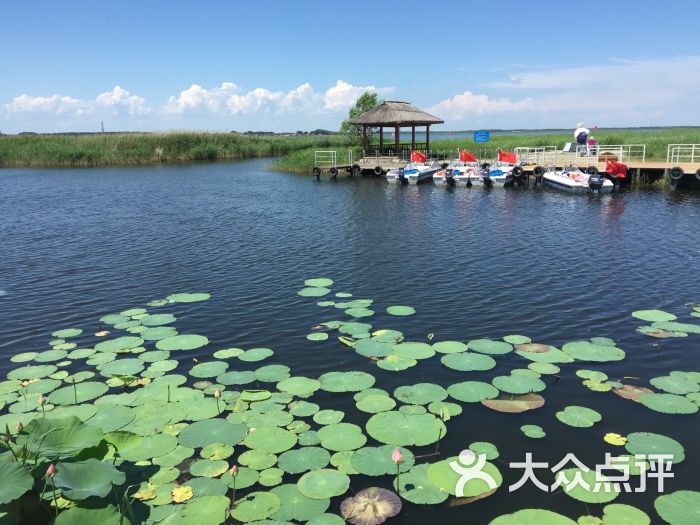 黑龙江扎龙自然保护区-图片-齐齐哈尔周边游-大众点评