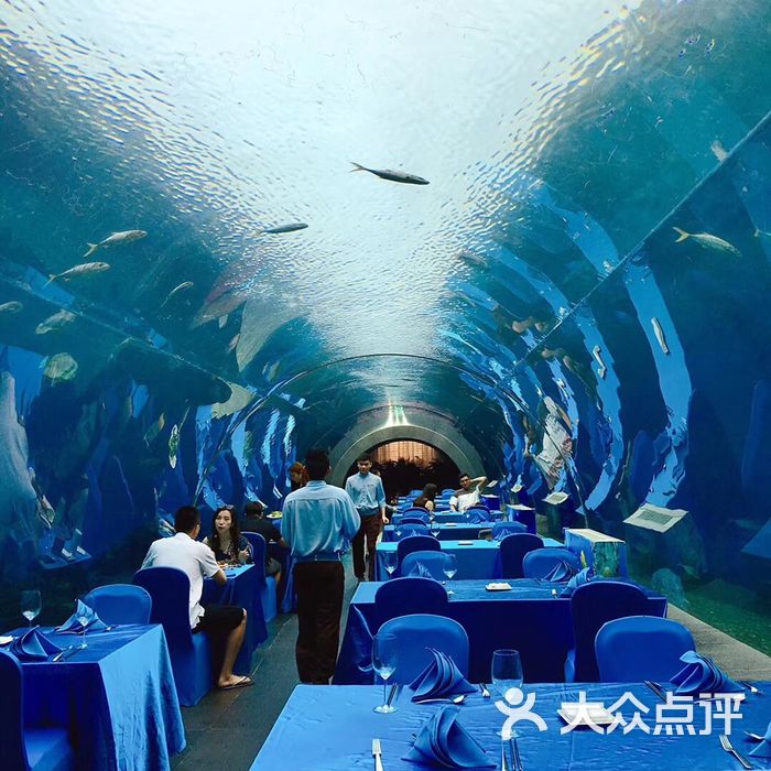 天房洲际度假酒店-海底餐厅 涛餐厅