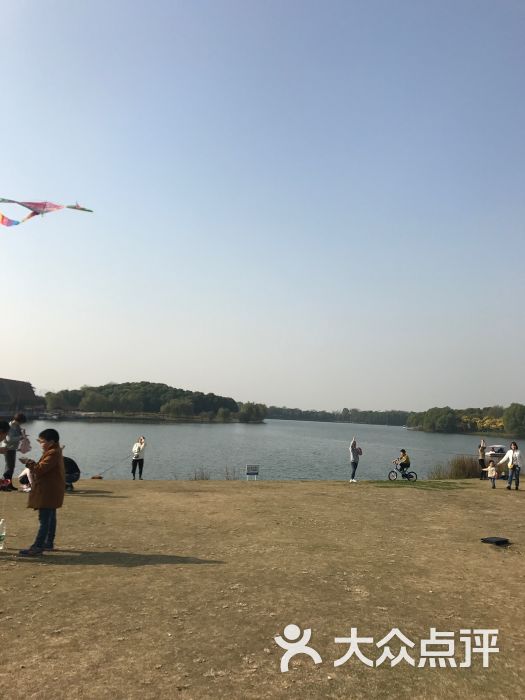 虎丘湿地公园图片 - 第4张