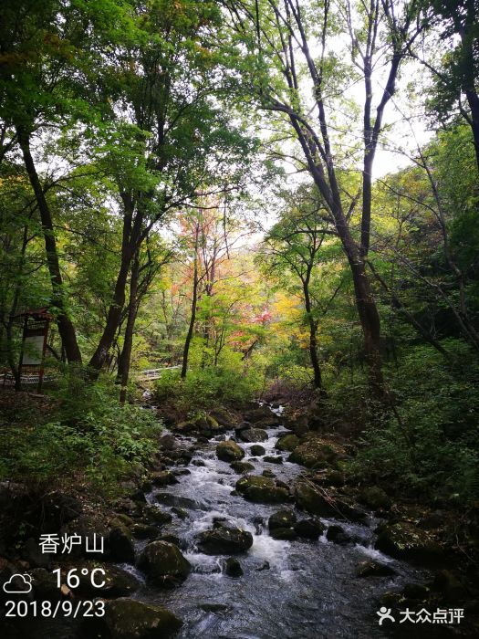香炉山国家森林公园图片 - 第12张