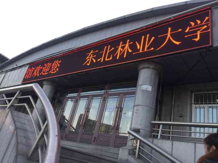 林业大学游泳馆"管理不错,泳池分为浅水区,深水区.深水区.